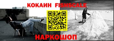 индика Гатчина