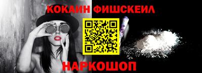 индика Гатчина