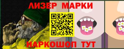 индика Гатчина