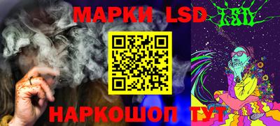 индика Гатчина