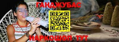 индика Гатчина