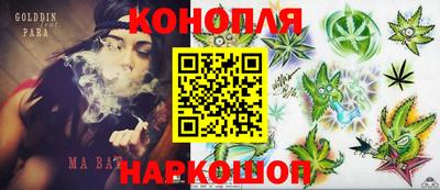 индика Гатчина