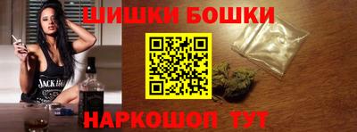 индика Гатчина