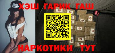 индика Гатчина